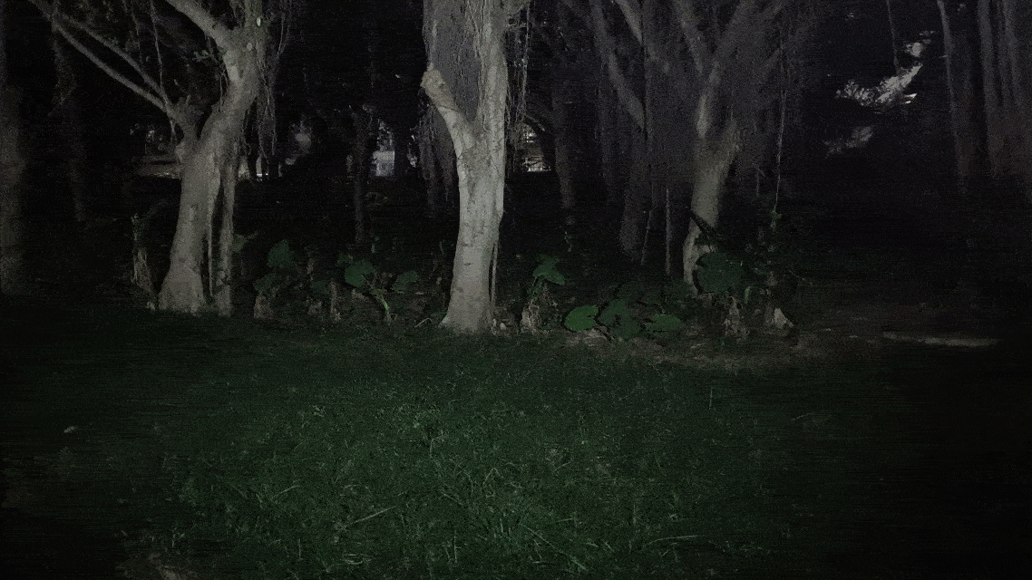 41、爆闪_compressed.gif